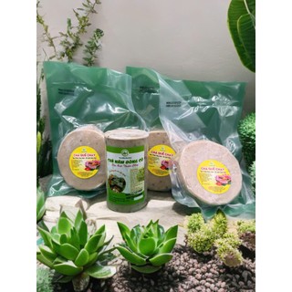Chả Quế Chay Chay Xanh 500g [ Hàng Lạnh chi giao HCM ]
