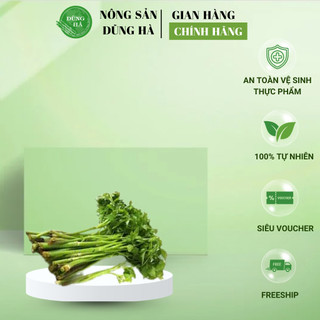 Cần Ta Tươi – Rau Gia Vị Sạch Nấu Canh, Xào, Ăn Lẩu – Nông Sản Dũng Hà