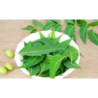 100gr bột lá Neem Ấn Độ handmade