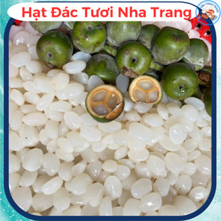 Hạt Đác Nha Trang Lựa Dẻo Ngon Không Cứng, hạt đác tươi đặc sản nổi tiếng 79Nha Trang, đác tươi 500gr/1kg