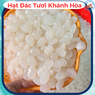 Hạt đác tươi nha trang loại lựa dẻo ngon 1kg, hạt đác dẻo đặc sản Nha Trang, hạt dác tươi ăn rất mát