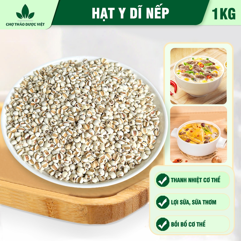 Hạt ý dĩ nếp 1kg, hạt bobo, y dĩ nấu sữa hạt, thơm, bở bùi, nấu chè, cháo, hầm gà - Chợ Thảo Dược Việt
