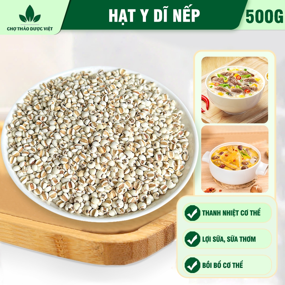 Hạt ý dĩ nếp 500g, hạt bobo, y dĩ nấu sữa hạt, thơm, bở bùi, nấu chè, cháo, hầm gà - Chợ Thảo Dược Việt