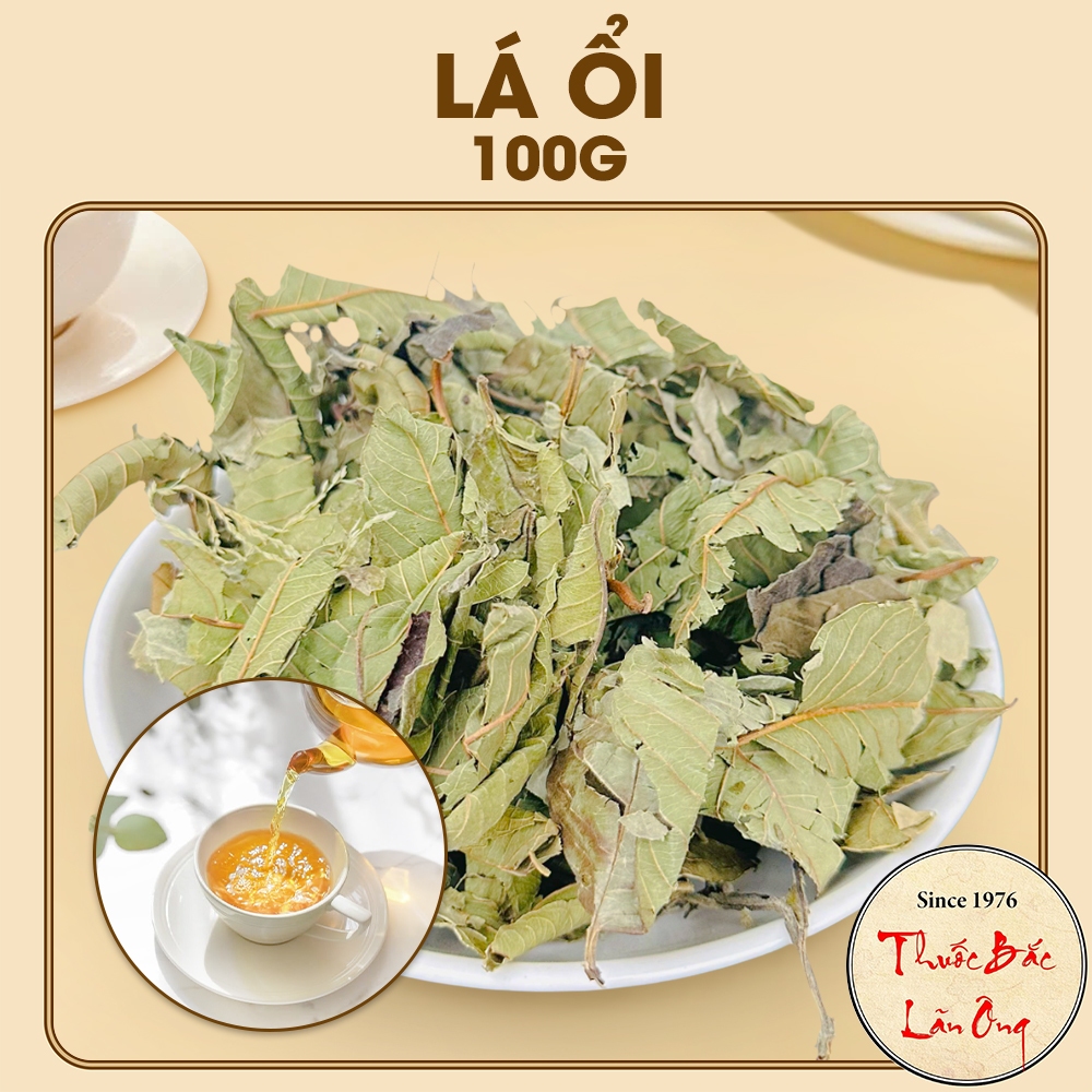 Lá ổi non phơi khô 100g (Lá ổi giảm cân, đọt ổi khô, thơm, sạch)