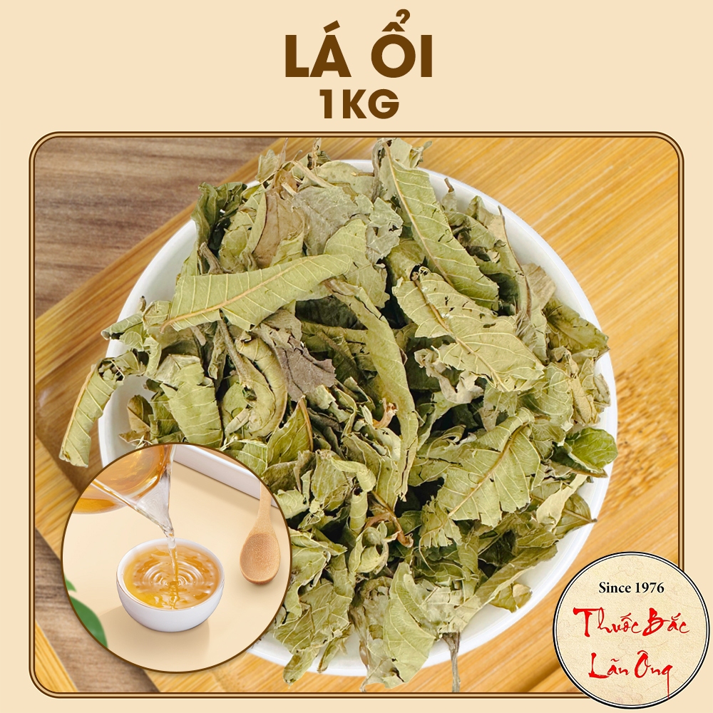 Lá ổi non phơi khô 1kg (Lá ổi giảm cân, đọt ổi khô, thơm, sạch)