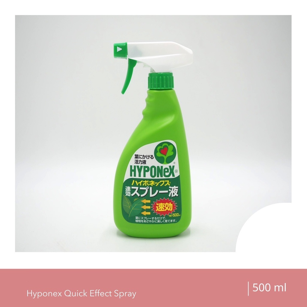 Phân Bón Lá Hyponex Spray 500ml