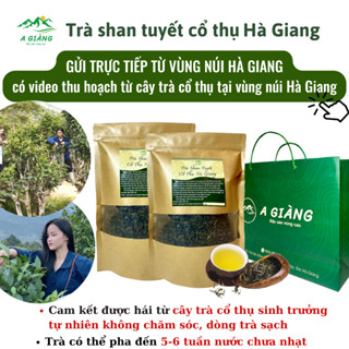 Trà shan tuyết cổ thụ Hà Giang, trà shan tuyết cổ thụ Hà Giang trà sạch túi 500gr