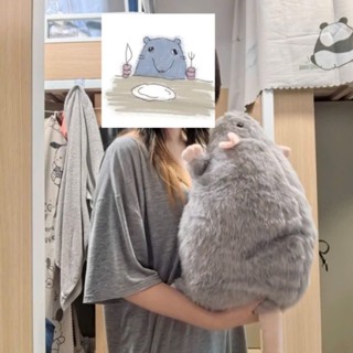  Gấu Bông Chuột dễ thương size 45cm  Thú nhồi bông hình chuột quà tặng ngộ nghĩnh búp bê hình chuột lang cho bé gái 