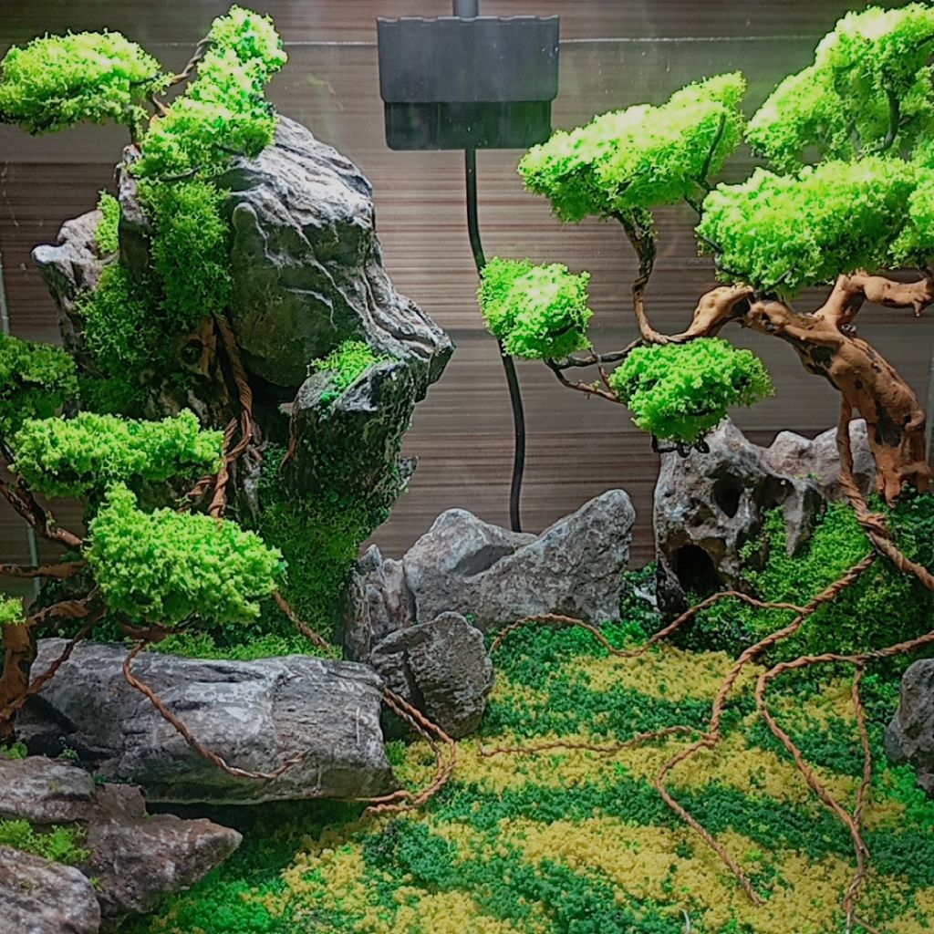 Bể cá mini 30x20x20 kèm layout