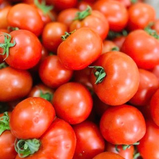 Hạt Giống Cà Chua Chịu Nhiệt – Sai Quả, Ngọt Thanh, Năng Suất Cao, Thích Hợp Khí Hậu Nóng Hàng CTY
