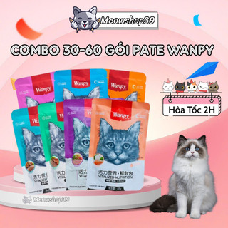(Hỏa Tốc Đến 19H) Combo 30 - 60 gói Pate Wanpy 80gr cho Mèo - Thức Ăn ướt cho Mèo mọi lứa tuổi