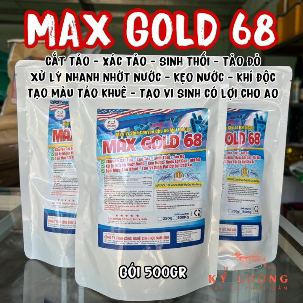 MAX GOLD Vi sinh chuyên cho ao mật độ cao, giúp cắt tảo, sinh thối, xử lý nhanh nhớt nước, kẹo nước_ Gói 500gr