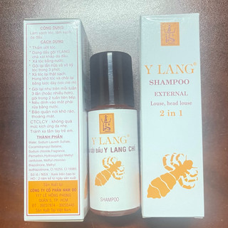 Combo lược chải chí và dầu gội chí