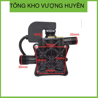 Đầu máy bơm rửa xe mini (có kèm rơ le điện)