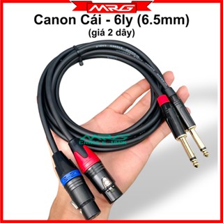  Dây jack canon cái ra jack 6ly kết nối tín hiệu âm thanh giá 1 cặp  2 dây  DJ-CN 