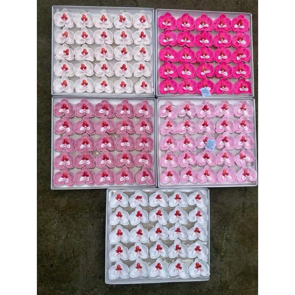Hoa lan hồ điệp sáp ( hộp 25 bông)
