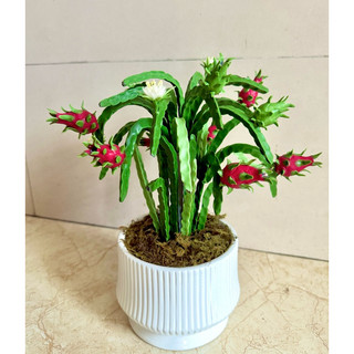 Chậu thanh long bằng đất sét để bàn
