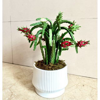 Chậu thanh long bằng đất sét để bàn