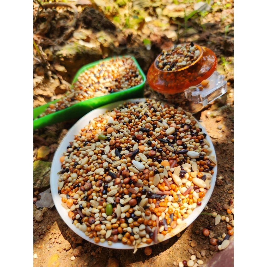 1kg hoặc 2 kg ngũ cốc loại xịn 22 loại hạt dành cho cu gáy,gà ,két,vẹt.bồ câu ..vv