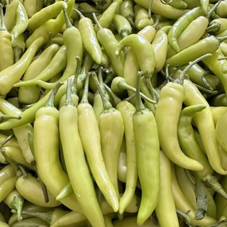 Hạt Giống Ớt Sừng – Ớt Huế Cay Nồng, Trái Đẹp, Tỷ Lệ Nảy Mầm Cao Hàng CTY