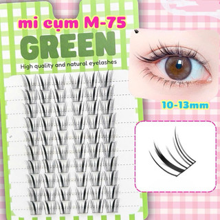 Mi Green hottrend