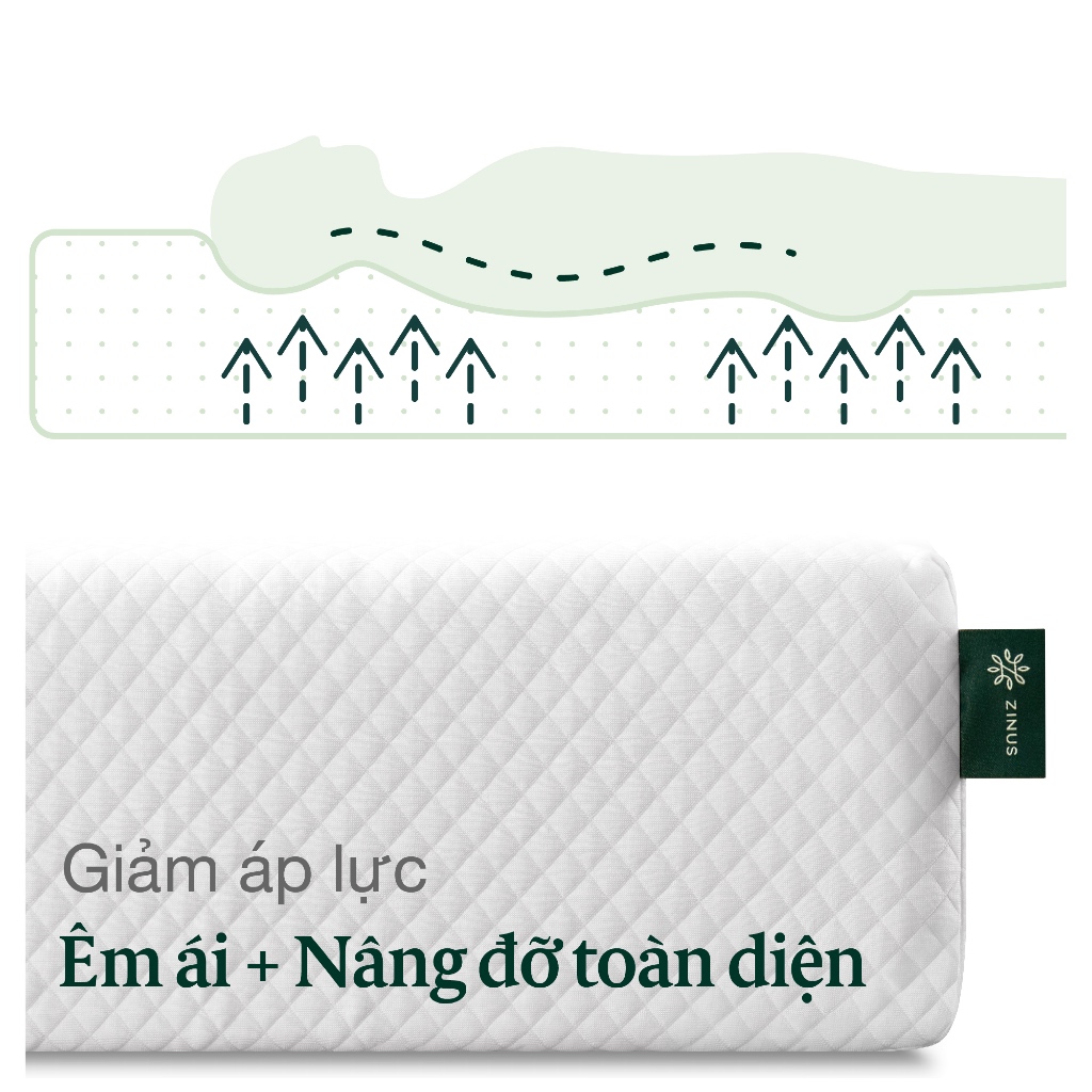 [Tặng Ga Ngẫu Nhiên] Nệm Memory Foam Zinus Gel Trà Xanh Vải Tencel Mềm Mát 20cm | BigBuy360 - bigbuy360.vn