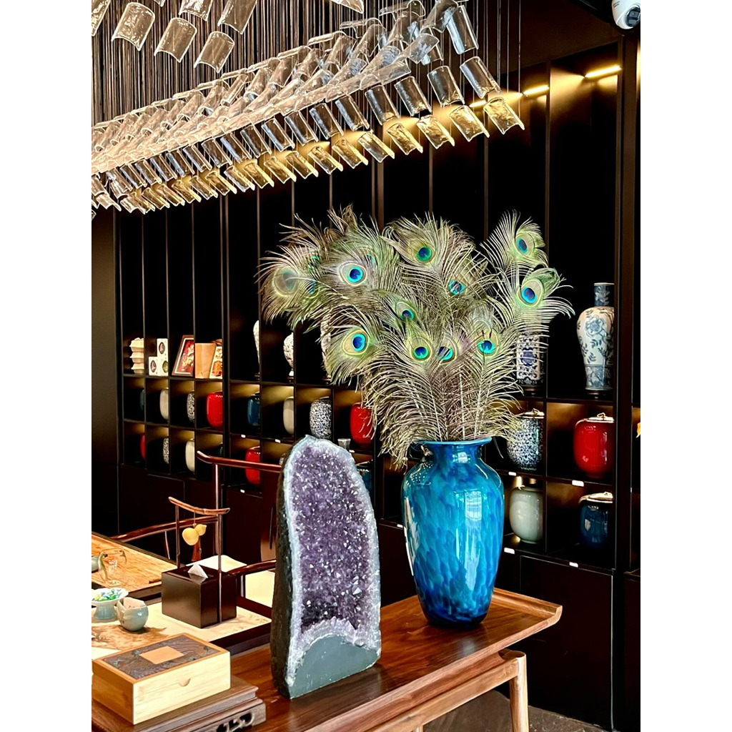 Lông Công phong thuỷ đẹp 80- 90cm  [PBMC]
