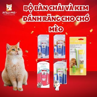 Bộ bàn chải và kem đánh răng cho chó mèo, giúp giảm hôi miệng, loại bỏ vết bẩn  - MisoPet