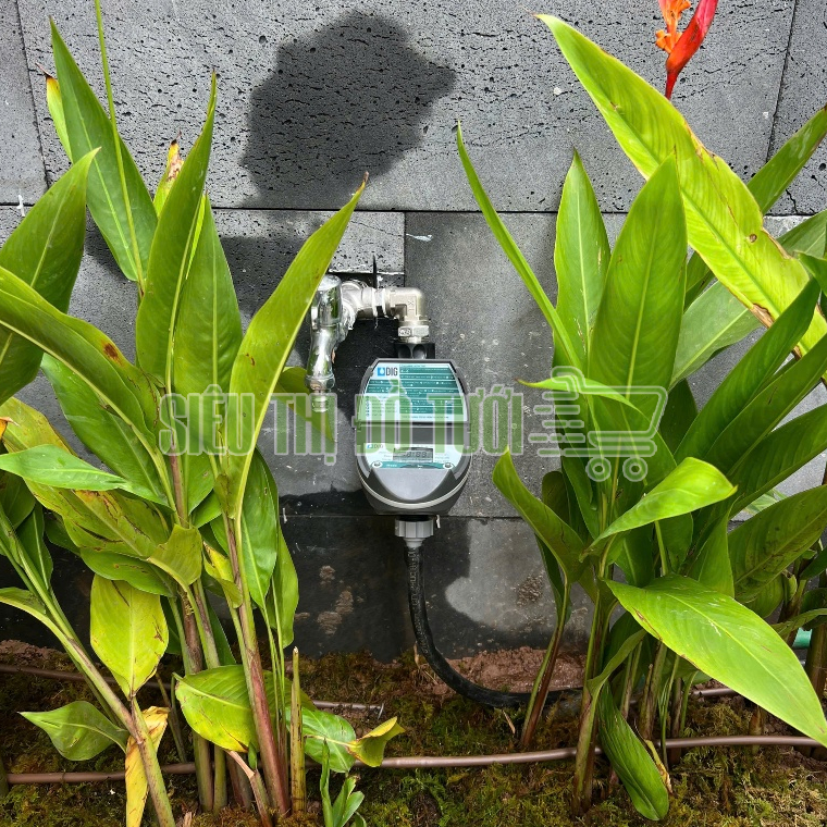 Hẹn Giờ Tưới Tự Động DIG B09D - Điều Khiển Tưới Cây Thông Minh, Tiết Kiệm Nước, Nhập Khẩu USA