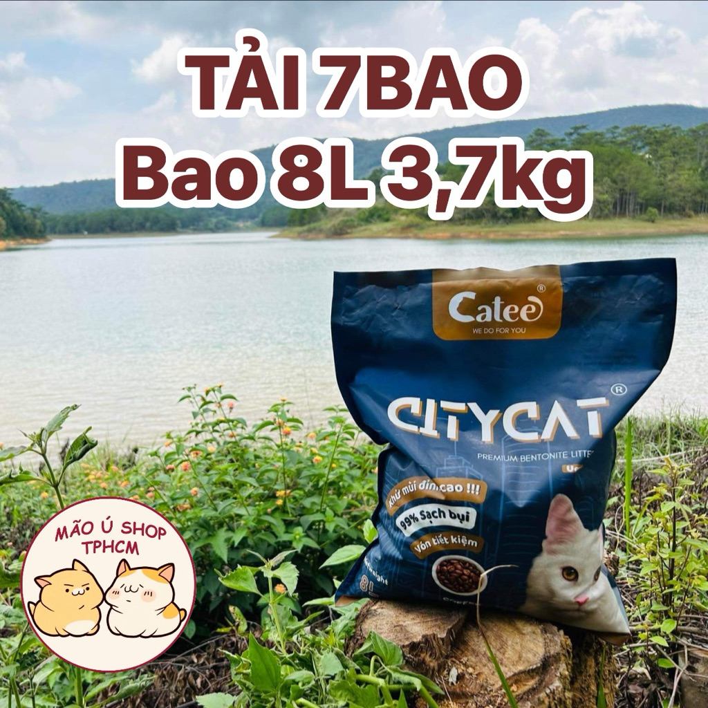 TẢI 7 BAO CÁT CITYCAT 8L - CÁT GIÁ SINH VIÊN