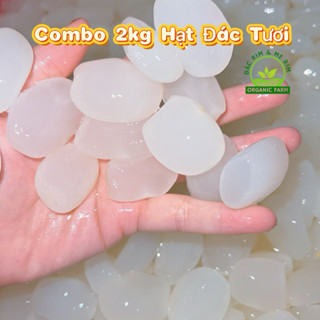  Hạt Đác Tươi Combo 2Kg Khánh Hòa Dẻo Làm Topping Trà Trái Cây  Nấu Chè Rất Ngon Giải Nhiệt Ngày Hè Organic Farm 