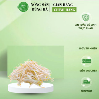 Giá Đỗ Sạch Tươi Mầm Tự Nhiên – Giòn Ngọt – Đóng Gói 500g/1kg – Nông sản Dũng Hà