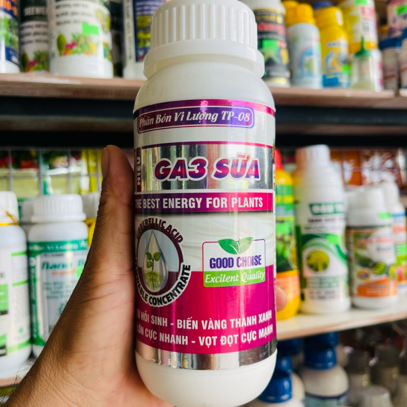 GA3 Sữa 500ml