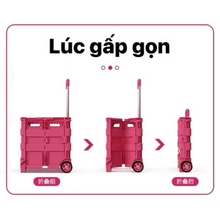 Vali con vịt vàng 24 inch