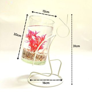 Bể cá mini để bàn người cõng bình