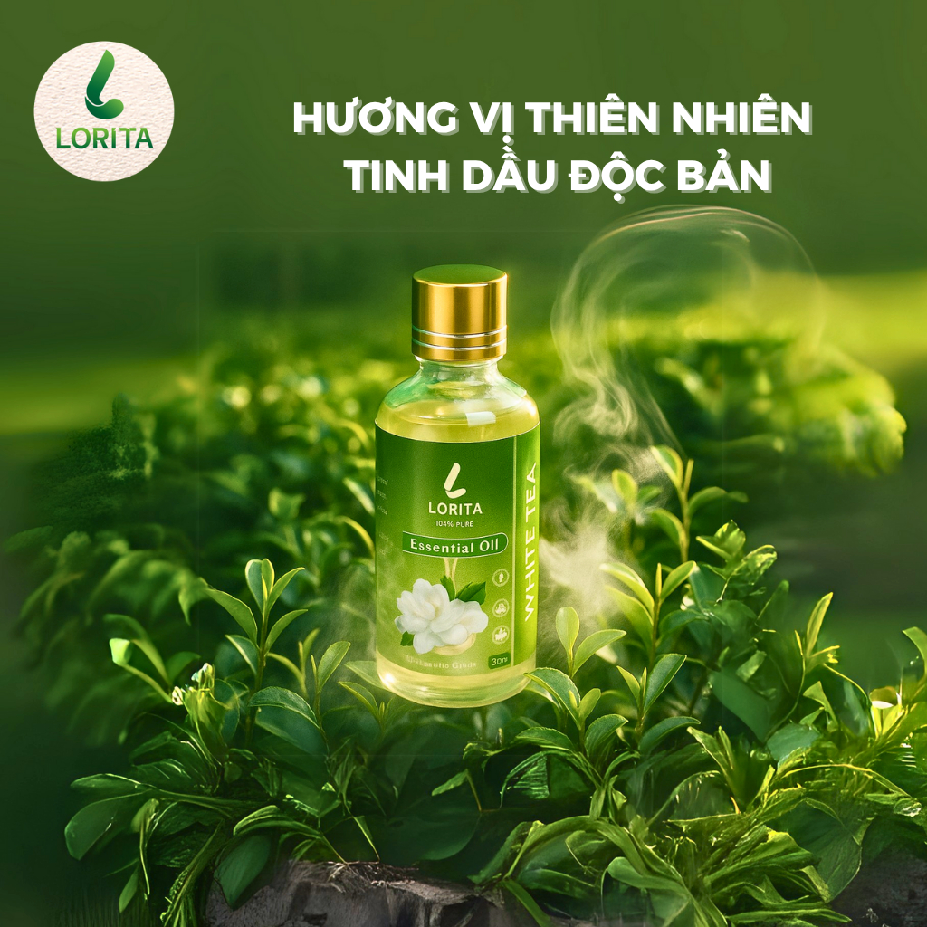 Tinh dầu thiên nhiên LORITA - Tinh dầu Trà Trắng 100% thiên nhiên, xông thơm phòng, ngủ ngon, khử mù