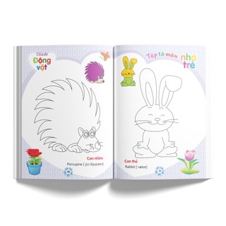 Sách: Tập Tô Màu Nhà Trẻ + Bút Sáp Màu - Jumbo Crayons - 24 Màu (DK 3304 - 24)