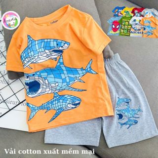 Đồ Bộ Hè Cho Bé Trai Thun Cotton VNXK Size Nhỏ 10-38kg Đồ Trẻ Em Cộc Tay In Hình 3D Siêu Nhân, Labubu, Khủng Long J490