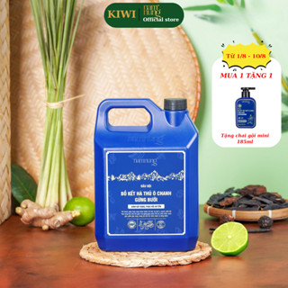 [2000ml] Can Dầu Gội, dầu Xả Thảo Dược Nam Nung XANH DƯƠNG hỗ trợ giảm gàu rụng, phục hồi, dưỡng tóc