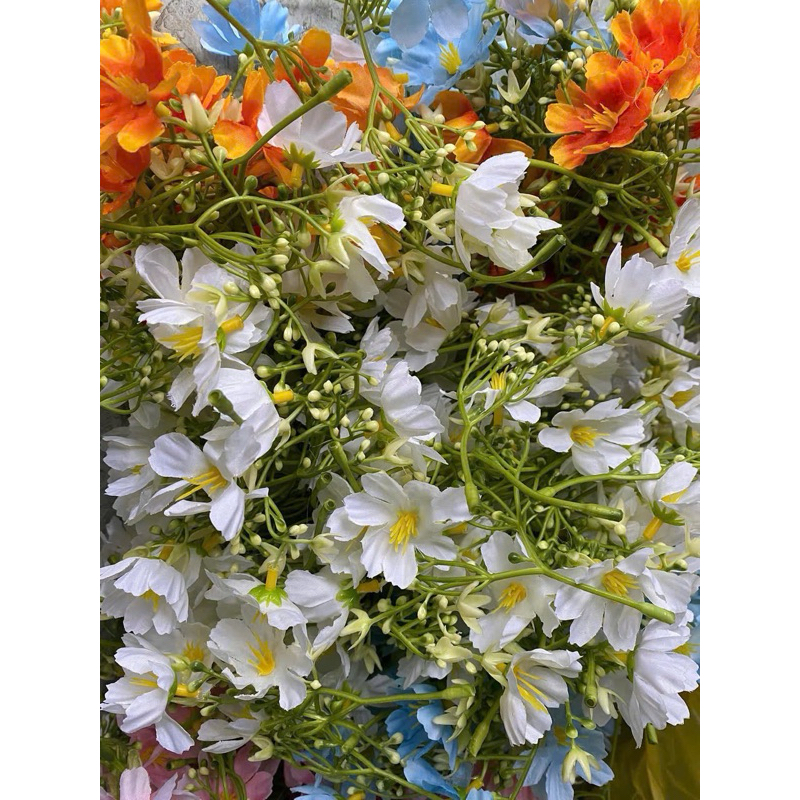 combo 10 Hoa nhất chi mai, nhánh hoa nhất chi mai