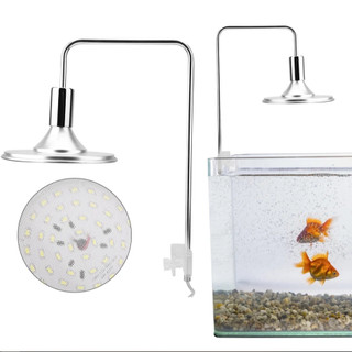 Đèn led rọi Xima 20W ánh sáng Trắng - RGB cho bể cá