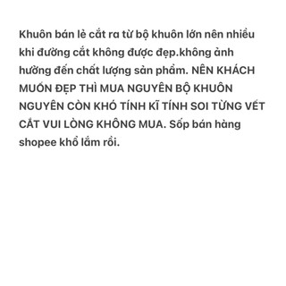 khuôn silicon hình phomai (1c)