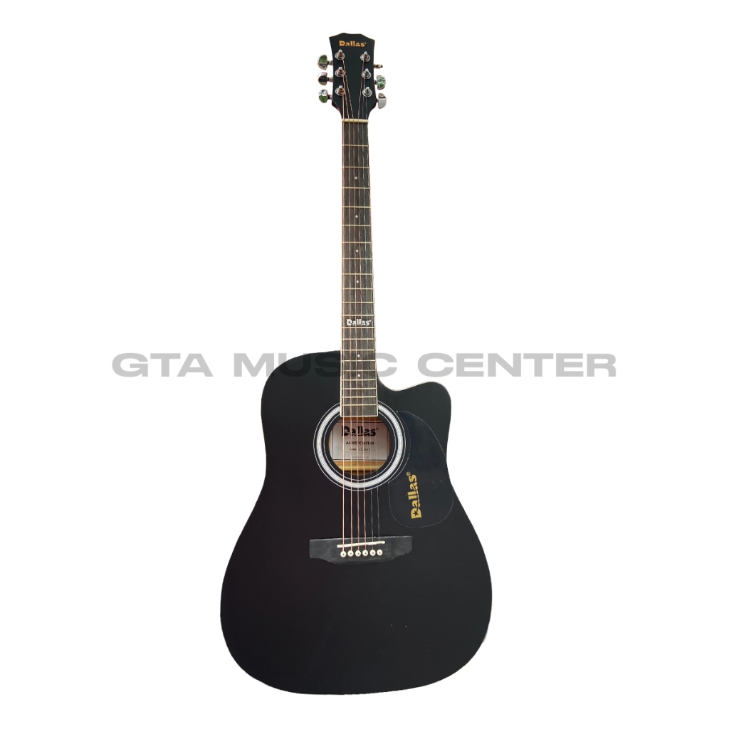 Guitar Acoustic Dallas DLS41