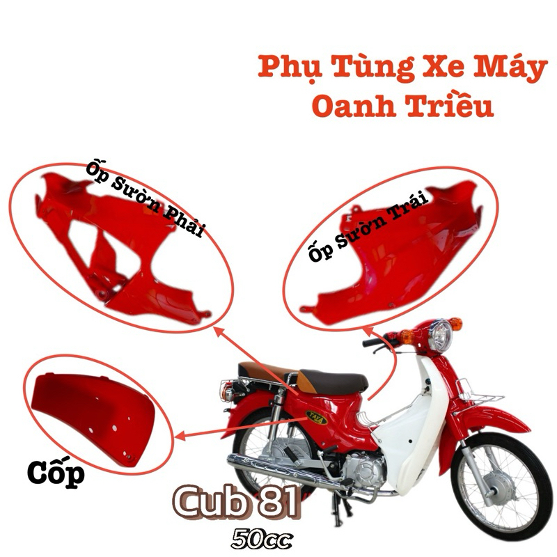 Bộ Ốp Sườn/Bộ Thân Sau xe Cub81 [đời mới][cub50hocsinh]