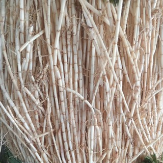 rễ tranh tươi( không  gửi  hàng miền bắc)