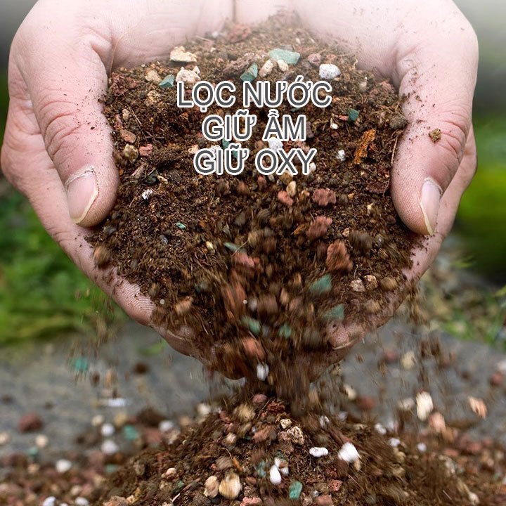 Đất trồng sen đá xương rồng trộn sẵn các loại đá Pumice Masato Lava Zeolite Perlite Nabi NB3