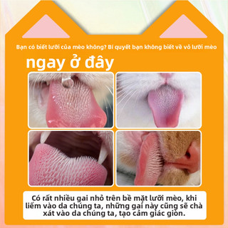 𝐁𝐚𝐨 𝐂𝐚𝐨 𝐒𝐮 𝐆𝐚𝐢 𝐋𝐮̛𝐨̛̃𝐢 𝐌𝐞̀𝐨 𝐒𝐢𝐞̂𝐮 𝐌𝐨̉𝐧𝐠 𝐓𝐡𝐞̂́ 𝐇𝐞̣̂ 𝐌𝐨̛́𝐢 - 𝐊𝐞́𝐨 𝐃𝐚̀𝐢 𝐐𝐮𝐚𝐧 𝐇𝐞̣̂ - 𝐇𝐨̣̂𝐩 𝟏𝟐