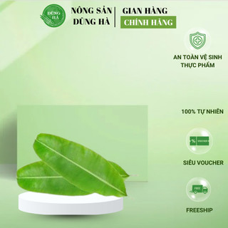 Lá Chuối Tươi Gói Bánh – Lá Chuối Tươi Bán Theo Cân – Giao Hàng Nhanh