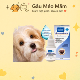 Nhỏ mắt cho chó mèo Pchelodar Nhỏ mũi ngừa sổ mũi đau mắt viêm mắt Gaumeomam TB03 (10ml)