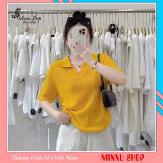 Áo Polo Len Lưới Màu Trơn Cổ V Hàng QC Minxu Shop TA40